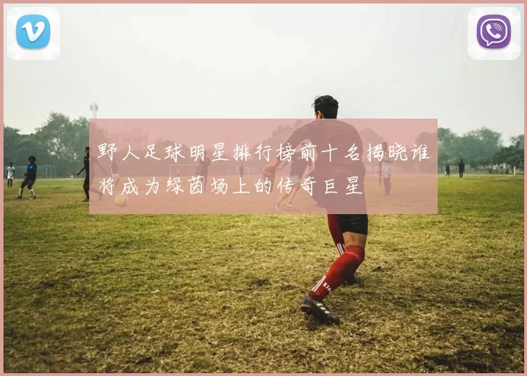 野人足球明星排行榜前十名揭晓谁将成为绿茵场上的传奇巨星